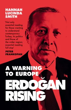 Hannah Lucinda Smith Erdogan Rising обложка книги