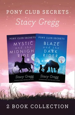 Stacy Gregg Mystic and Blaze обложка книги