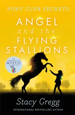 Stacy Gregg Angel and the Flying Stallions обложка книги