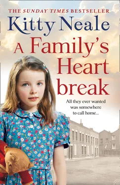 Kitty Neale A Family’s Heartbreak обложка книги