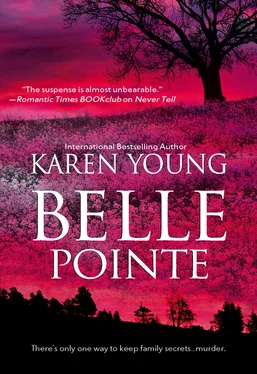 Karen Young Belle Pointe