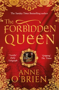 Anne O'Brien The Forbidden Queen обложка книги