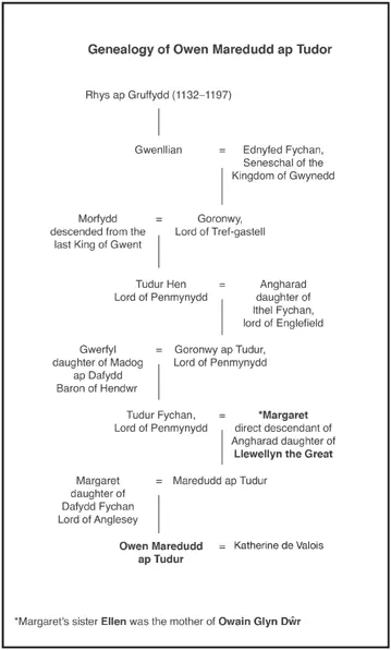 To George as ever whose knowledge of English medieval history is improving in - фото 5