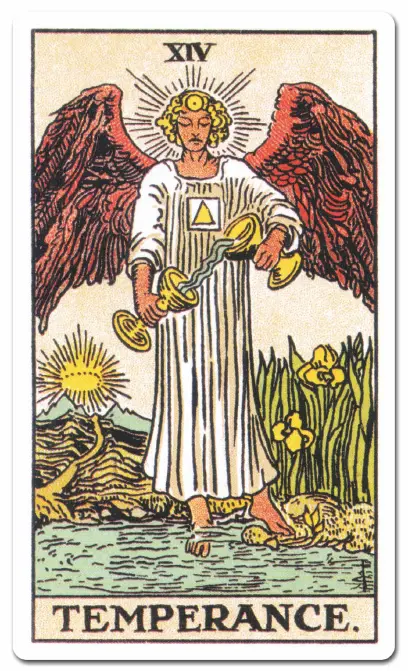 SagittariusTHE TEMPERANCE CapricornTHE DEVIL - фото 11