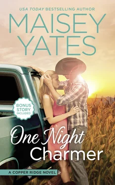 Maisey Yates One Night Charmer обложка книги