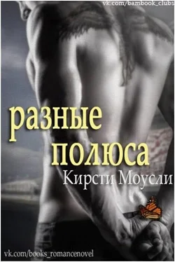 Кирсти Моусли Разные полюса (ЛП) обложка книги