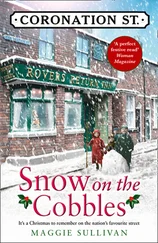 Maggie Sullivan - Snow on the Cobbles