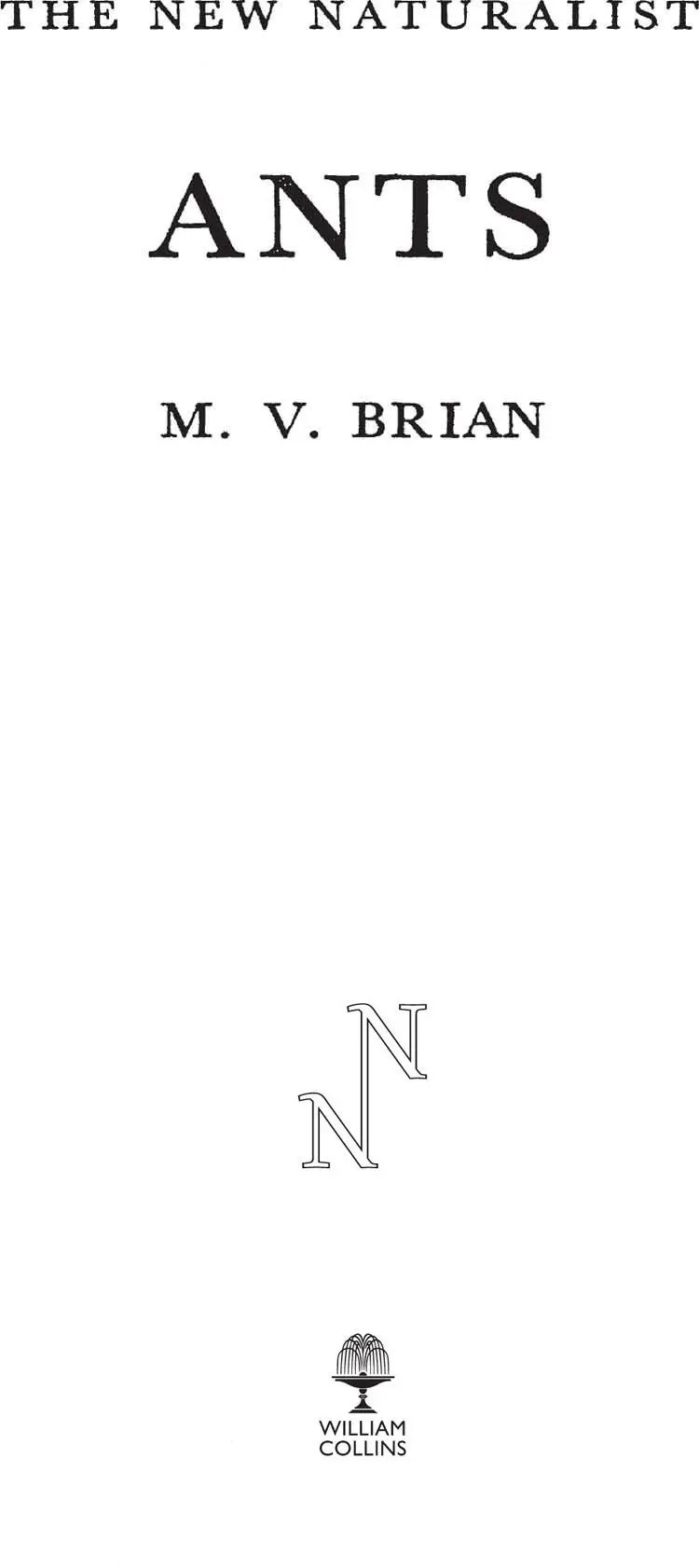 COPYRIGHT COPYRIGHT COLOUR PLATES PLATES EDITORS PREFACE AUTHORS PREFACE 1 - фото 1