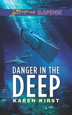 Karen Kirst Danger In The Deep обложка книги