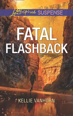 Kellie VanHorn Fatal Flashback обложка книги