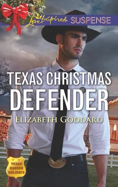 Elizabeth Goddard Texas Christmas Defender обложка книги