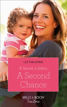 Liz Fielding A Secret, A Safari, A Second Chance обложка книги