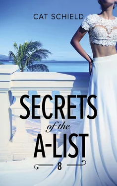 Cat Schield Secrets Of The A-List (Episode 8 Of 12) обложка книги