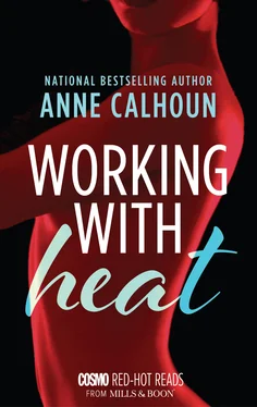 Anne Calhoun Working With Heat обложка книги