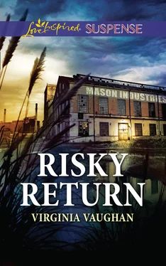 Virginia Vaughan Risky Return обложка книги