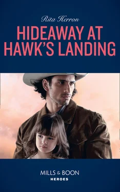 Rita Herron Hideaway At Hawk's Landing обложка книги