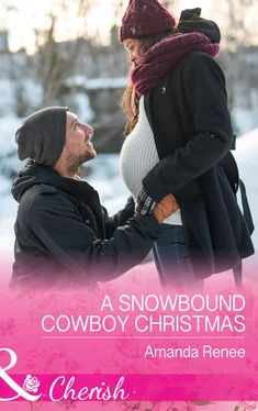 Amanda Renee A Snowbound Cowboy Christmas обложка книги