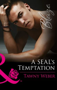 Tawny Weber A SEAL's Temptation обложка книги