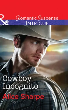 Alice Sharpe Cowboy Incognito обложка книги