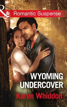 Karen Whiddon Wyoming Undercover обложка книги