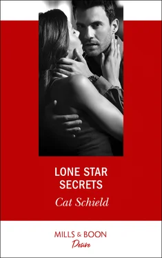 Cat Schield Lone Star Secrets обложка книги