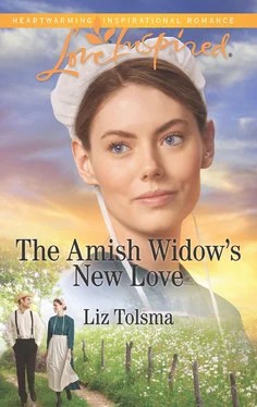 Liz Tolsma The Amish Widow's New Love обложка книги