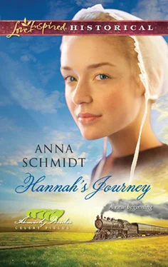 Anna Schmidt Hannah's Journey обложка книги