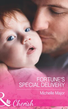 Michelle Major Fortune's Special Delivery обложка книги