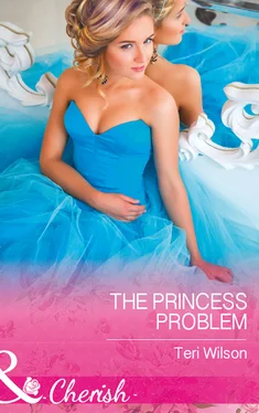 Teri Wilson The Princess Problem обложка книги