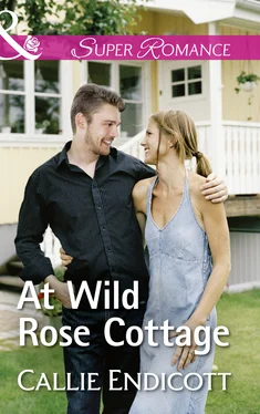 Callie Endicott At Wild Rose Cottage обложка книги