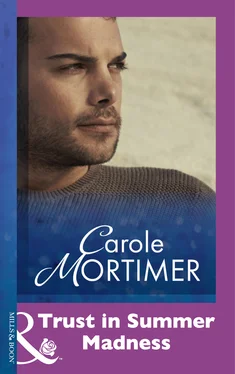 Carole Mortimer Trust In Summer Madness обложка книги