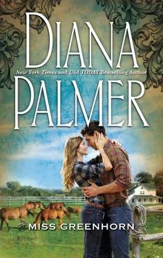 Diana Palmer Miss Greenhorn обложка книги