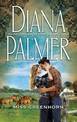 Diana Palmer - Miss Greenhorn