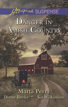 Marta Perry Danger In Amish Country обложка книги