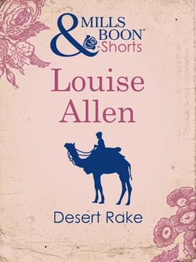 Louise Allen Desert Rake обложка книги