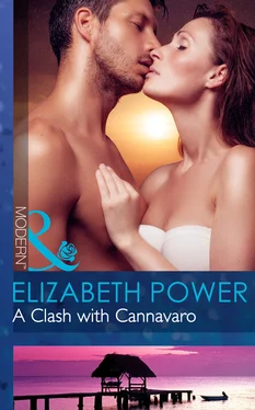 Elizabeth Power A Clash with Cannavaro обложка книги