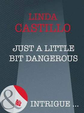 Linda Castillo Just A Little Bit Dangerous обложка книги