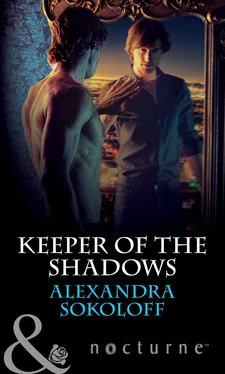 Alexandra Sokoloff Keeper of the Shadows обложка книги