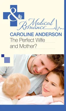 Caroline Anderson The Perfect Wife and Mother? обложка книги