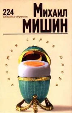 Михаил Мишин 224 избранные страницы обложка книги