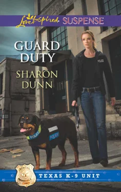 Sharon Dunn Guard Duty обложка книги