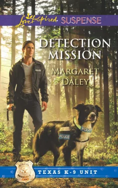 Margaret Daley Detection Mission обложка книги