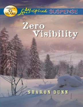 Sharon Dunn Zero Visibility обложка книги