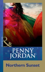 Penny Jordan - Northern Sunset