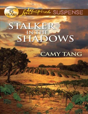 Camy Tang Stalker in the Shadows обложка книги