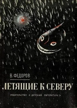 Вадим Фёдоров Летящие к северу обложка книги
