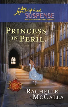 Rachelle McCalla Princess in Peril обложка книги