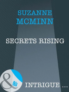 Suzanne Mcminn Secrets Rising