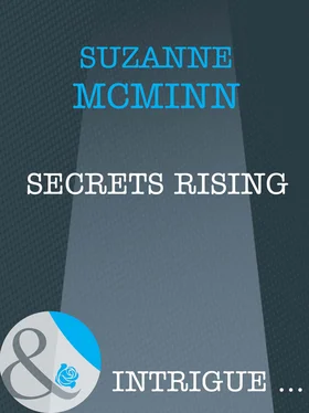 Suzanne Mcminn Secrets Rising обложка книги