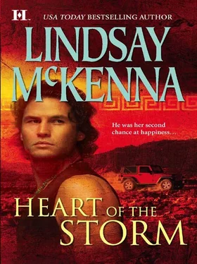 Lindsay McKenna Heart of the Storm обложка книги